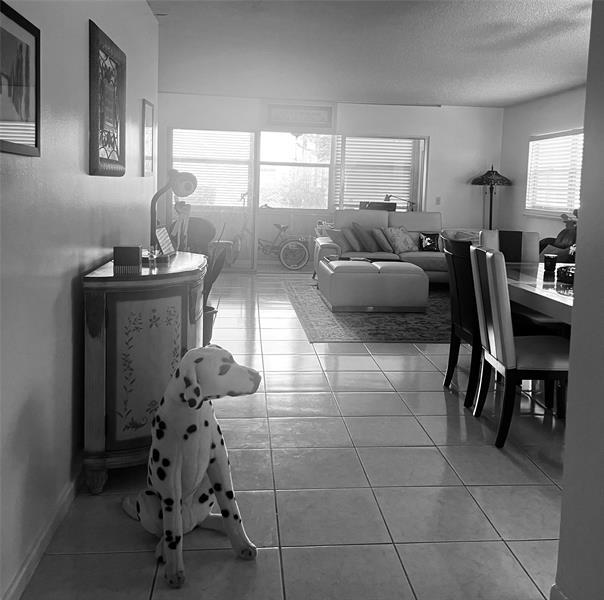 2 of 22 - 800 Sw 125th Way 112 O, Hollywood, FL