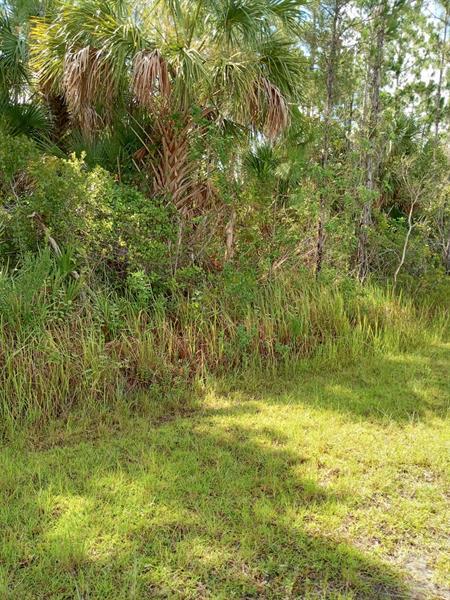 2 of 2 - 2655 Sw Labin Ave, Other City - In The State Of Florida, FL
