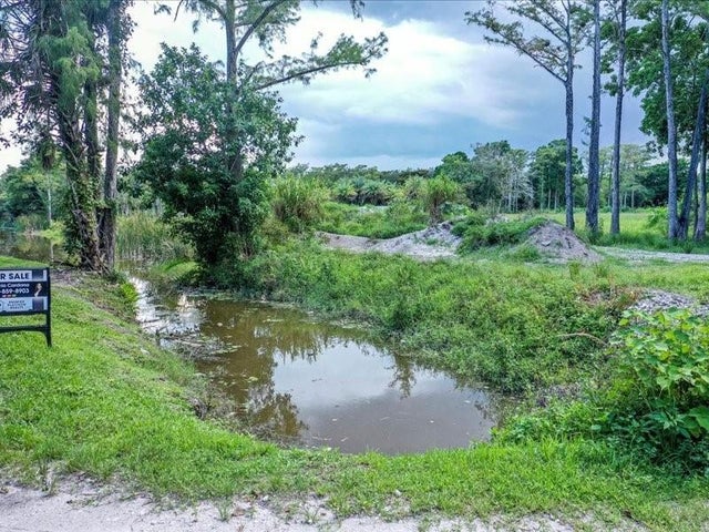 3 of 14 - 7049 Nw 84th Ave, Parkland, FL