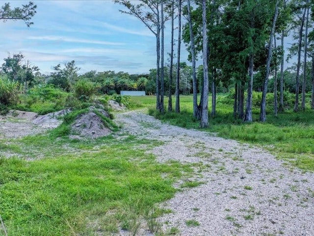 4 of 14 - 7049 Nw 84th Ave, Parkland, FL
