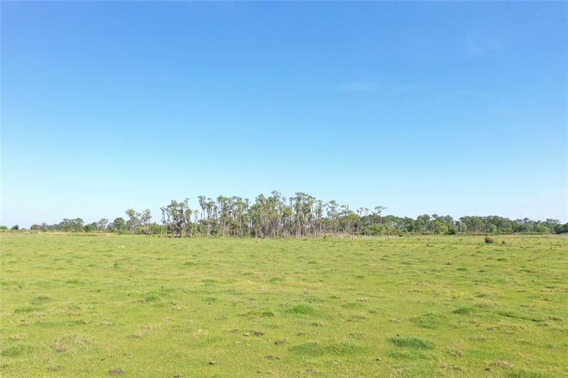 170 Angus Rd, Venus