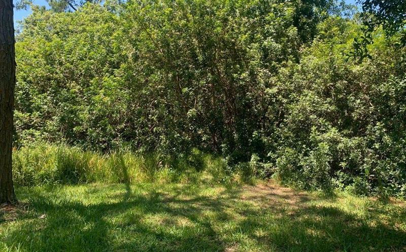 1956 W Tanager Rd, Avon Park