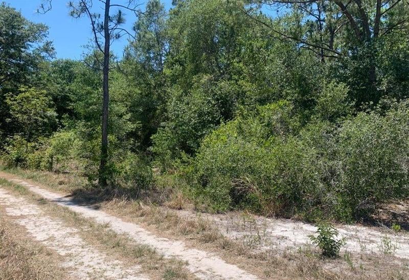 2649 N Todd Rd, Avon Park