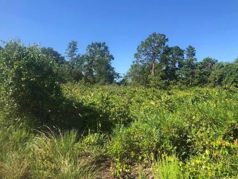 153 Disney Blvd, Avon Park