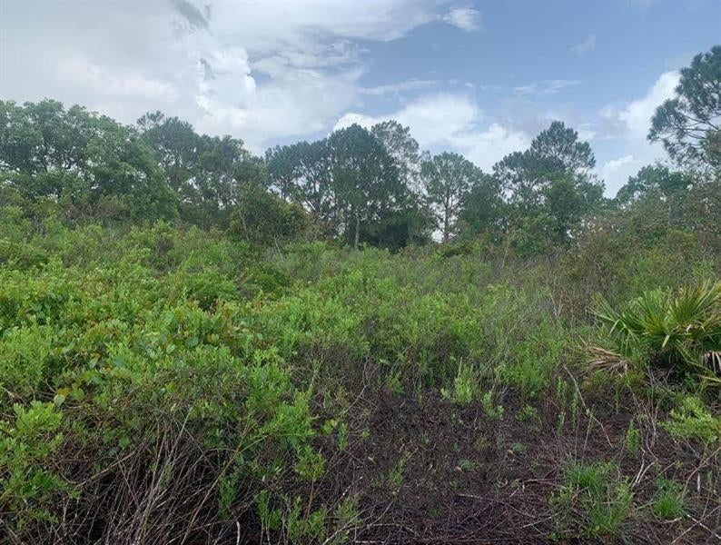 4105 Nogales Ave, Sebring