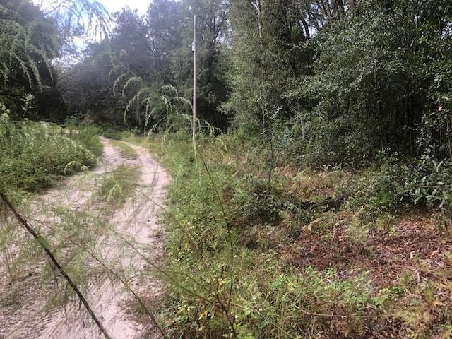 127 Sharon Drive, Satsuma