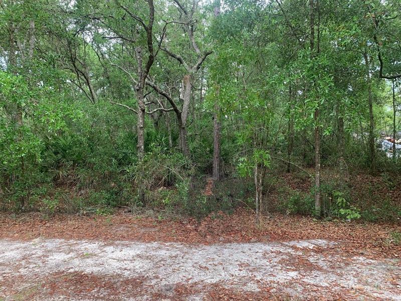 209 Highline Trail, Satsuma