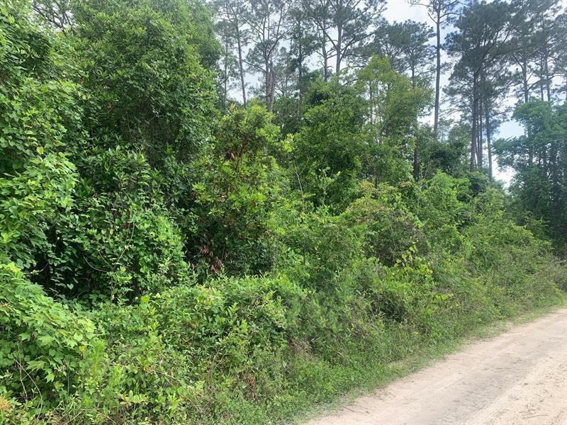 0 Coot Drive, Satsuma