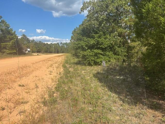 0 Nezperce Drive, Alford