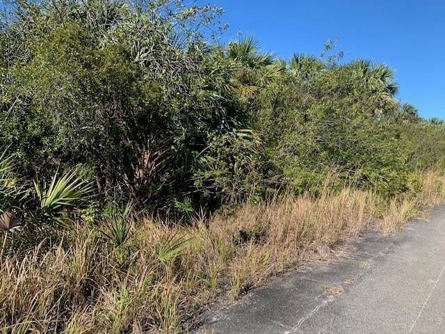 0 Sw Ginryo Rd, Palm Bay