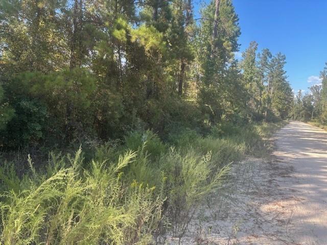 0 Oriole Ave, Marianna