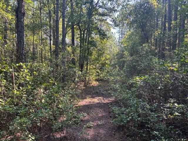 224 Se 8th Ave, Palatka