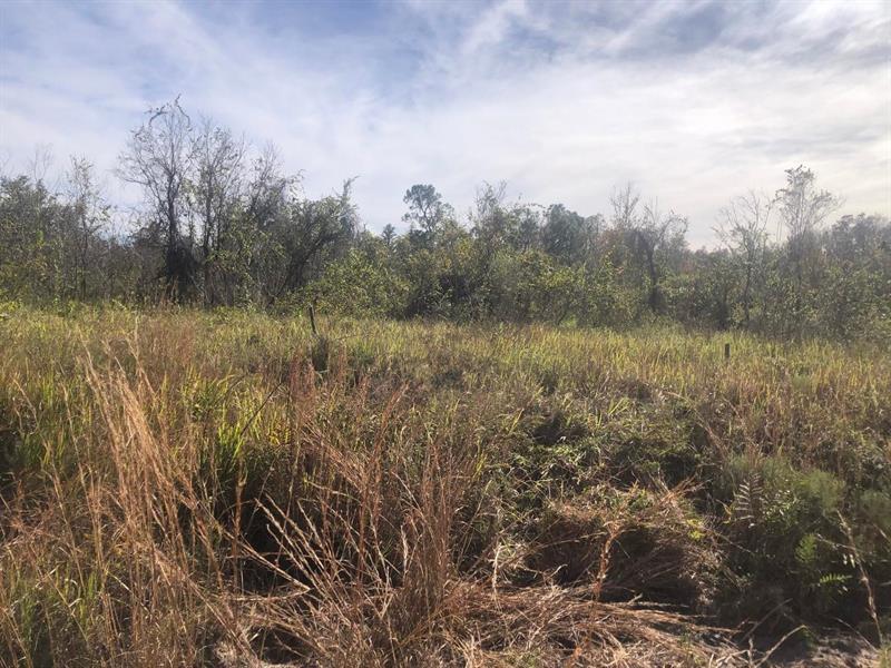 0 Polk City Rd, Other City - In The State Of Florida