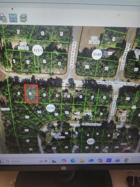 1248 W G Martinelli Blvd, Citrus Springs