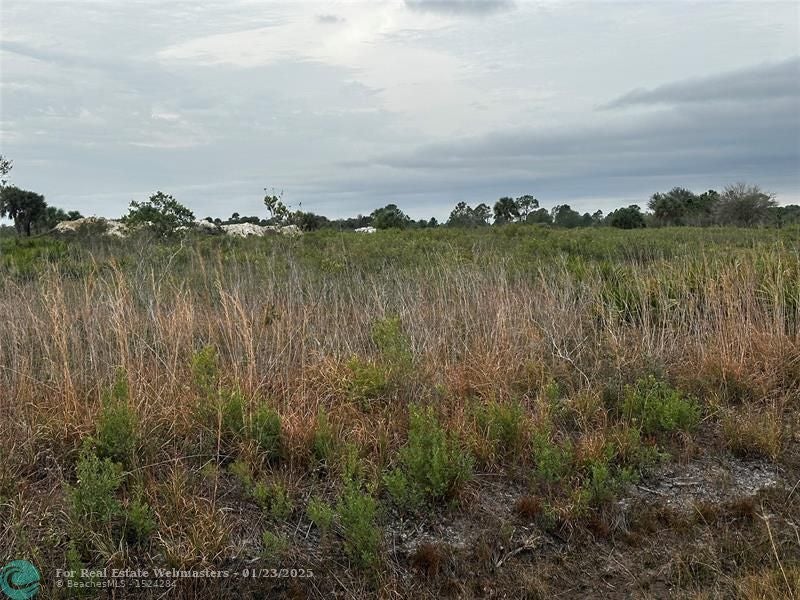17128 Nw 314th St, Okeechobee