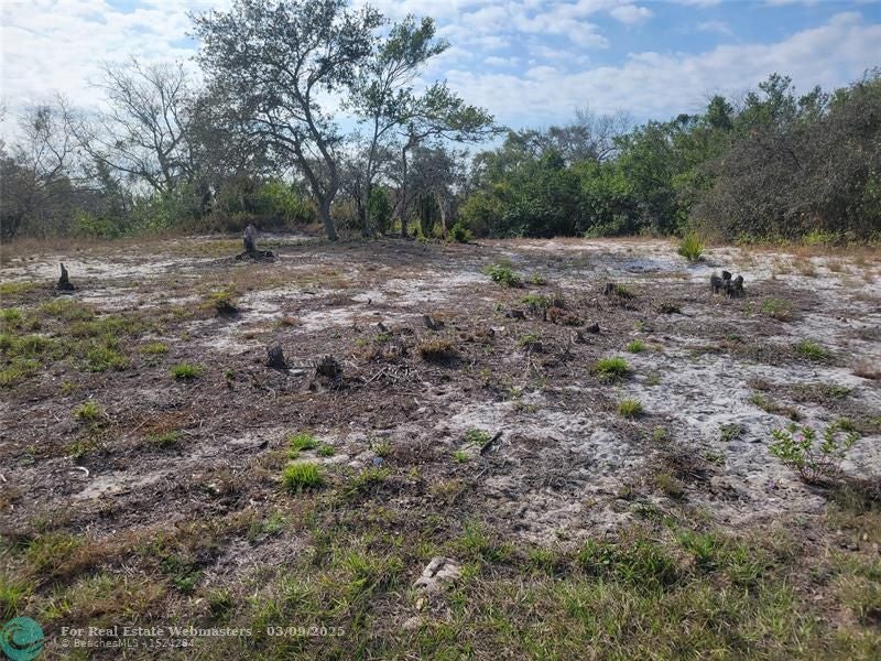 207 William Gray Court, Avon Park