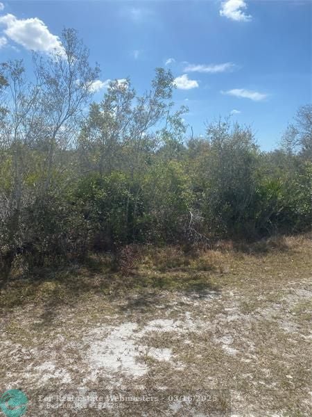 3 of 4 - Lot 5 Blk 341 Palm Beach Dr, Indian Lake Estates, FL