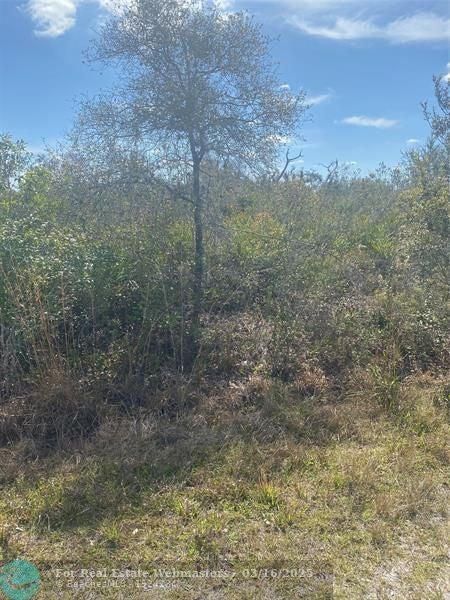 4 of 4 - Lot 5 Blk 341 Palm Beach Dr, Indian Lake Estates, FL
