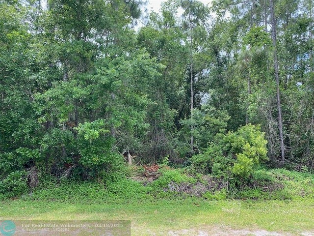 1 of 5 - Lot 5 Blk 274 Allamanda Drive, Indian Lake Estates, FL