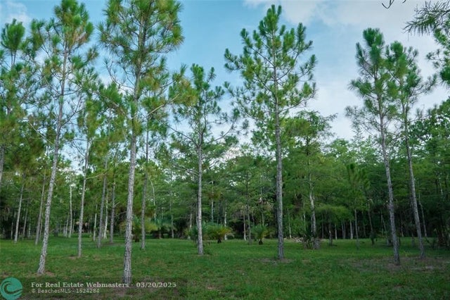 4 of 10 - 3586 Cabbage Palm Way, Loxahatchee, FL