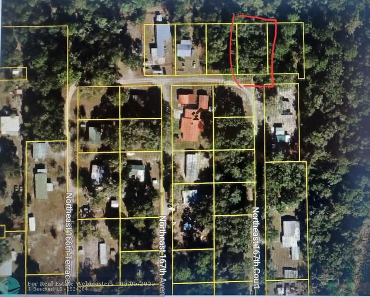 Xxxx Undetermined, Silver Springs