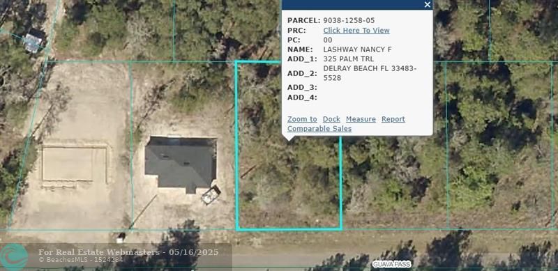 19 Guava Pass, Ocklawaha