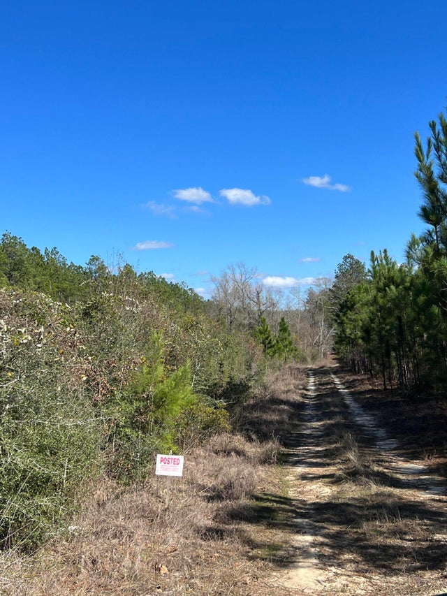 Paul Mcmillian Road, DeRidder