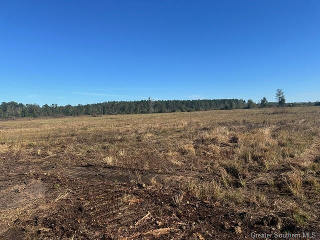 Conway Rosteet Road 20 Acre Tract, Longville