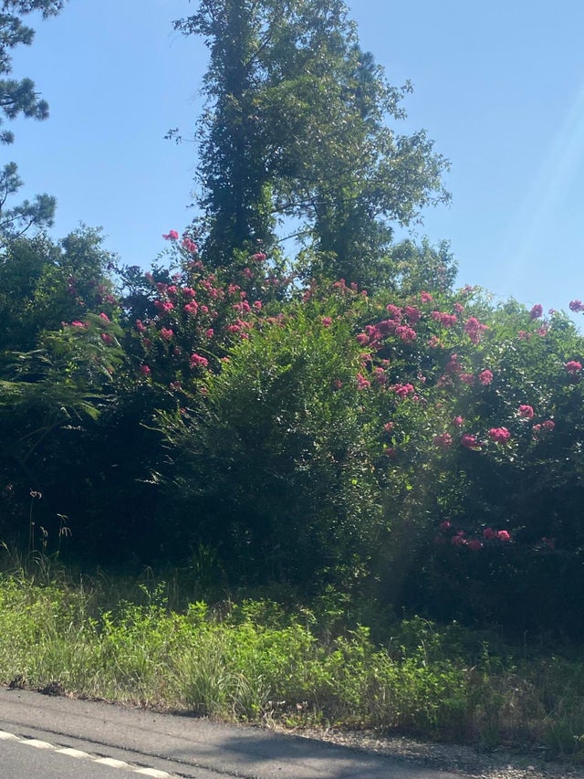 Highway 113, DeRidder