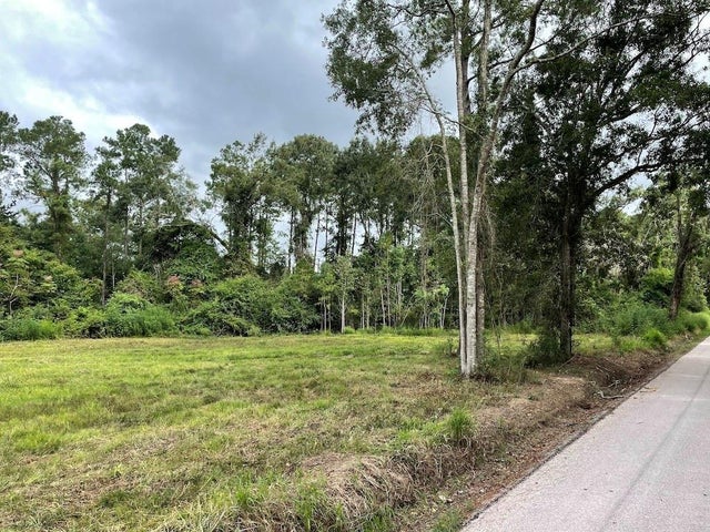 Tbd Pankhurst, Kinder