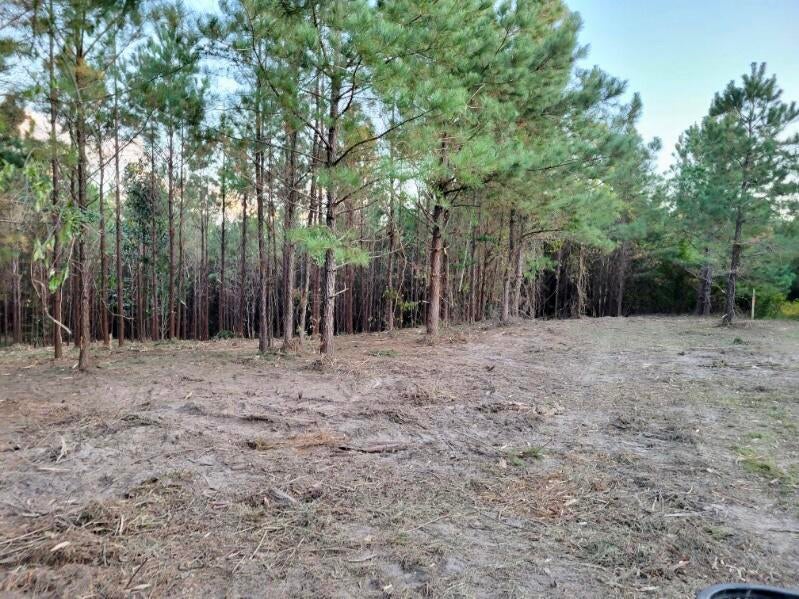 Tbd Woods Road, Leesville Property Listing MLS® 61101