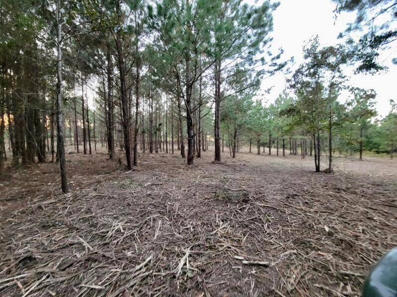 Tbd Woods Road, Leesville Property Listing MLS® 61101