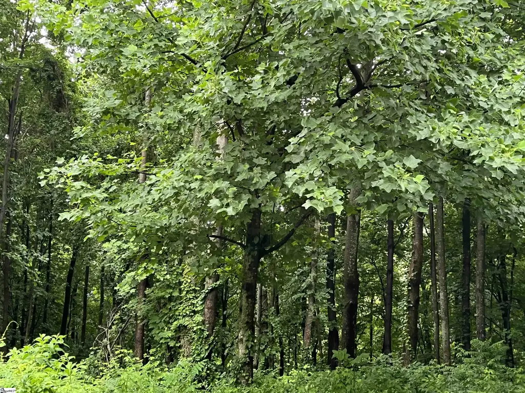 280 Foggy Cut Lane, Landrum