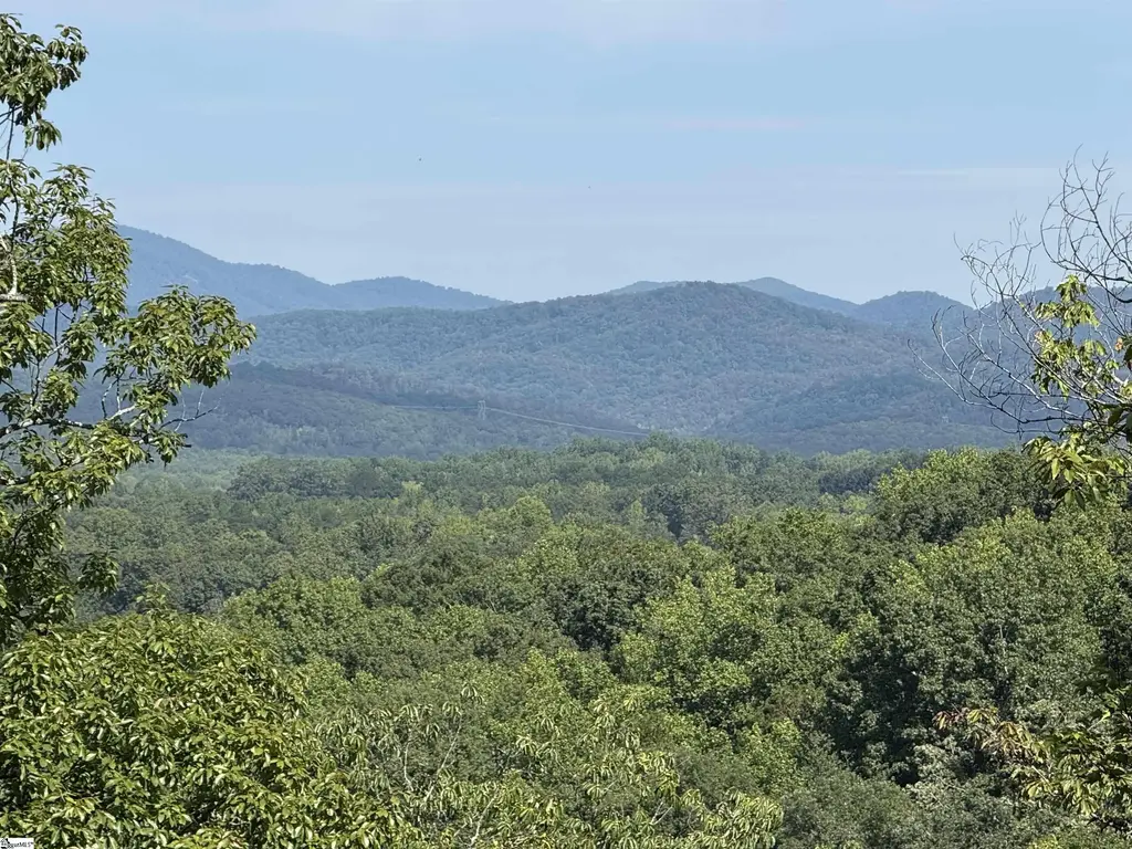 1140 Packs Mountain Ridge Road, Taylors
