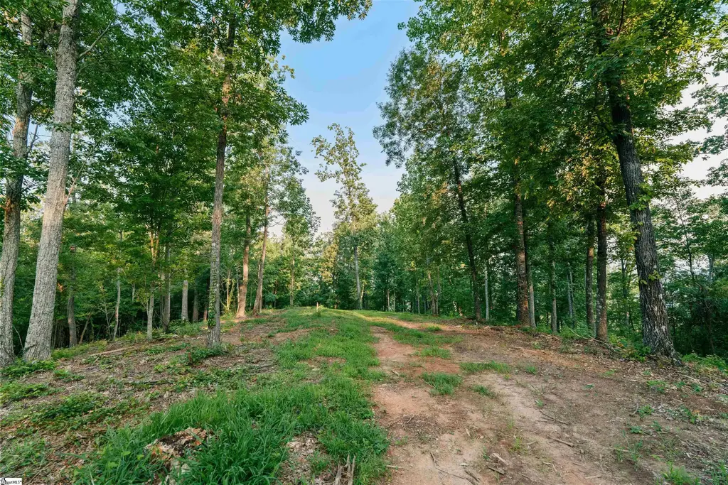 200 Chestnut Mountain Road Lot 1, Travelers Rest