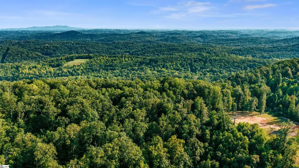 200 Chestnut Mountain Road Lot 1, Travelers Rest
