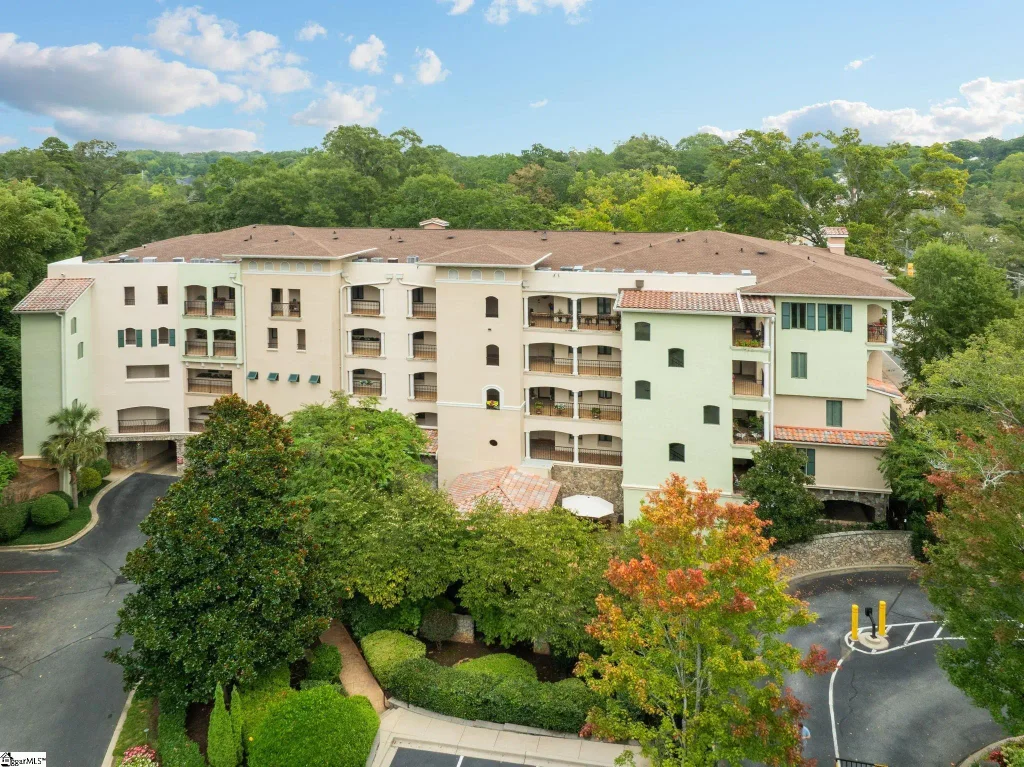 1209 E Washington Street Unit 301, Greenville