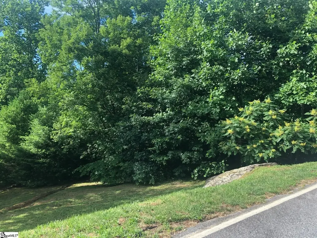 4 Rustic Court, Landrum