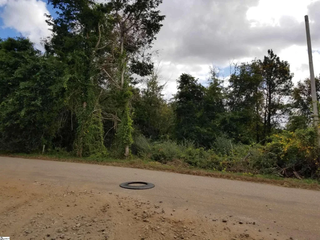 Leonard Road, Duncan