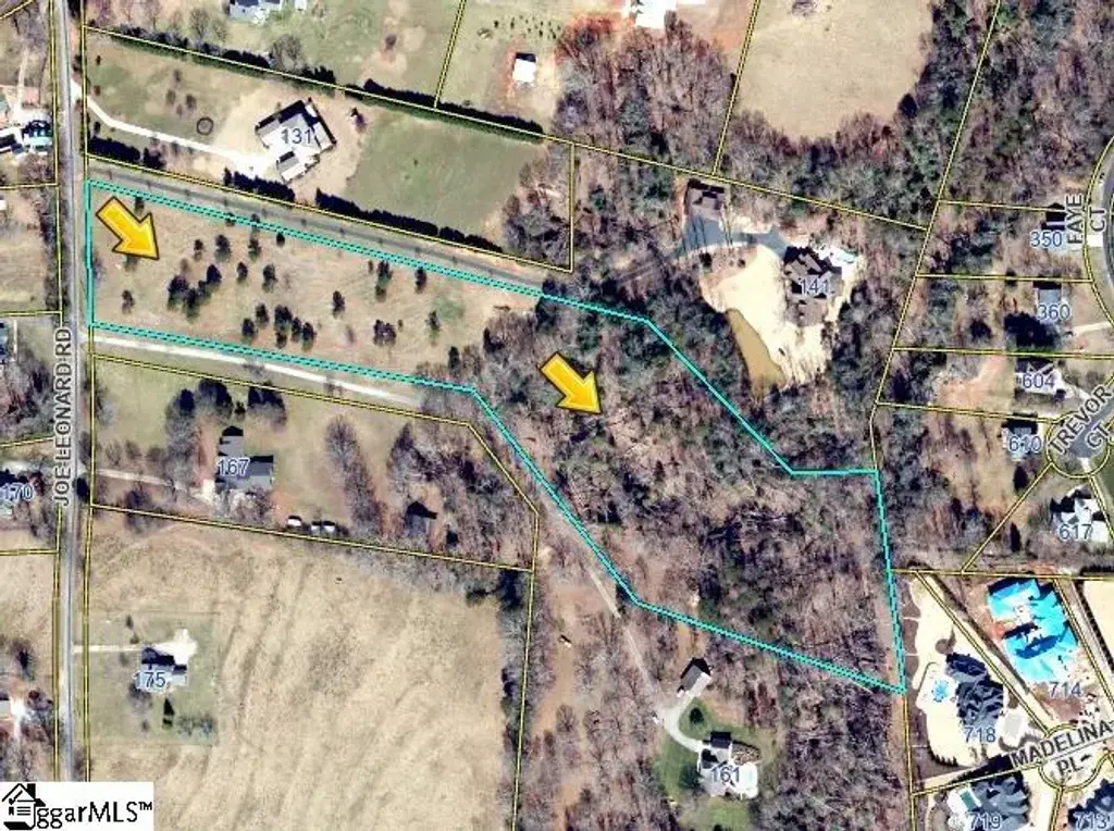 Joe Leonard Road, Greer