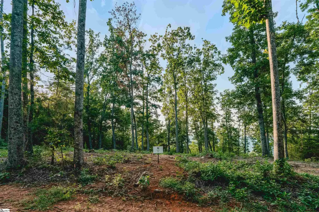 200 Chestnut Mountain Road Lot 5, Travelers Rest