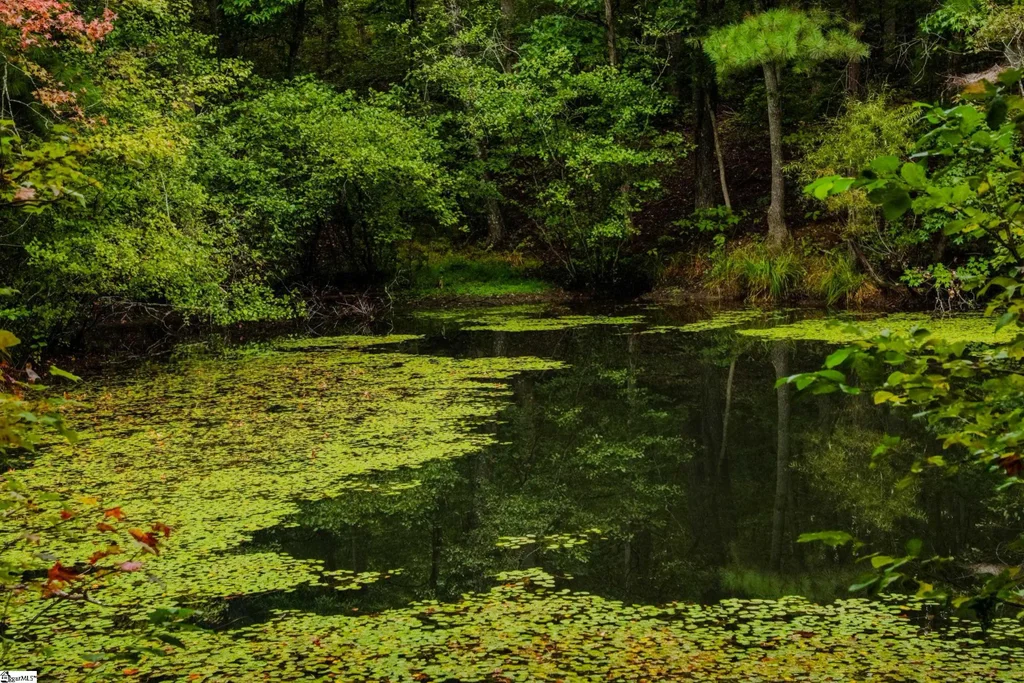 S. Packs Mtn Road, Taylors