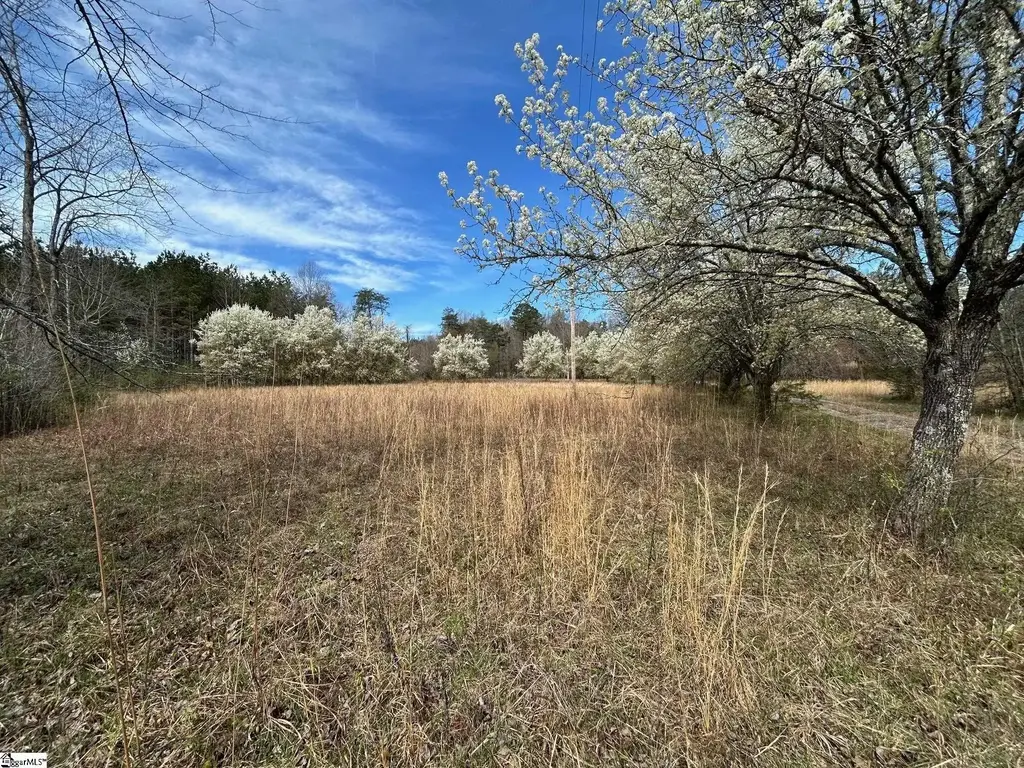2144 Fox Squirrel Ridge Road, Pickens