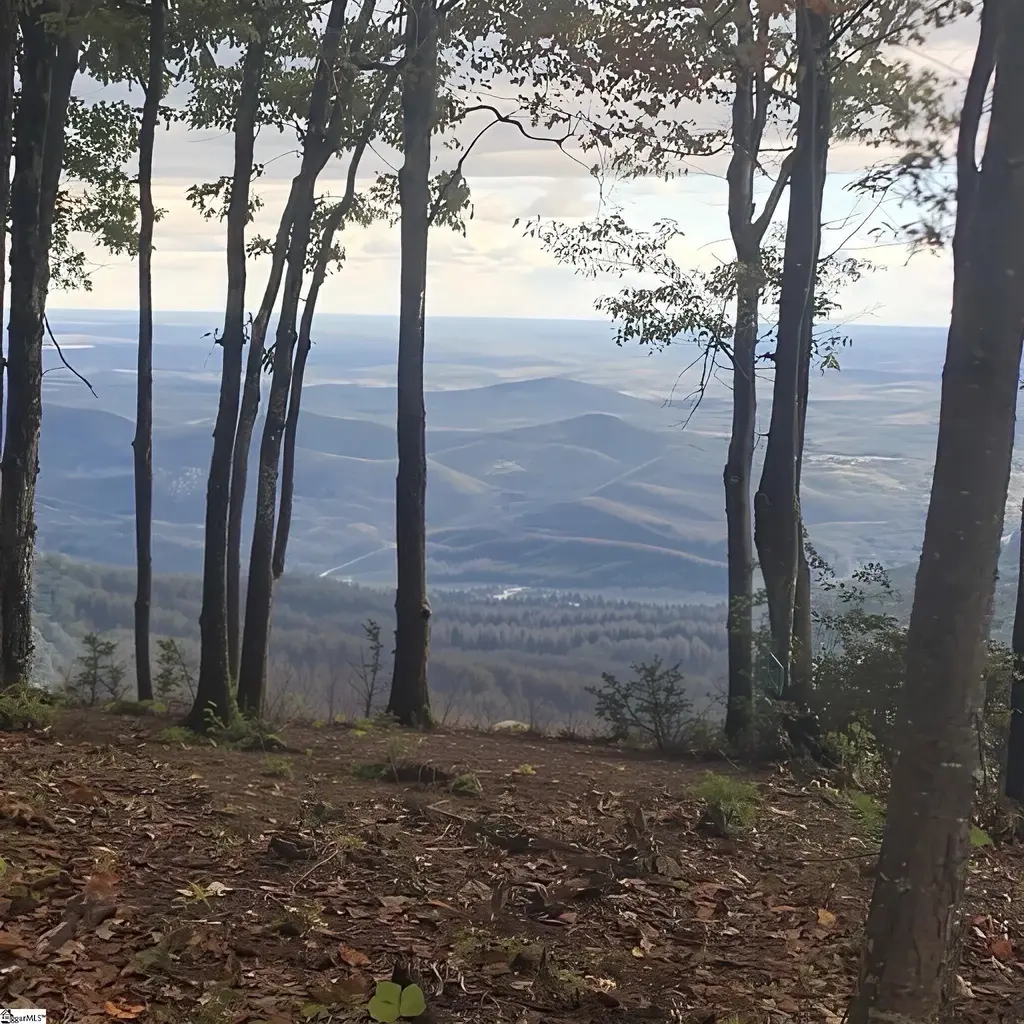 Mackerel Mountain Road, Hendersonville