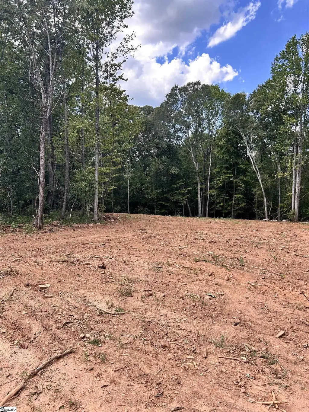 03 Clement Road, Greer