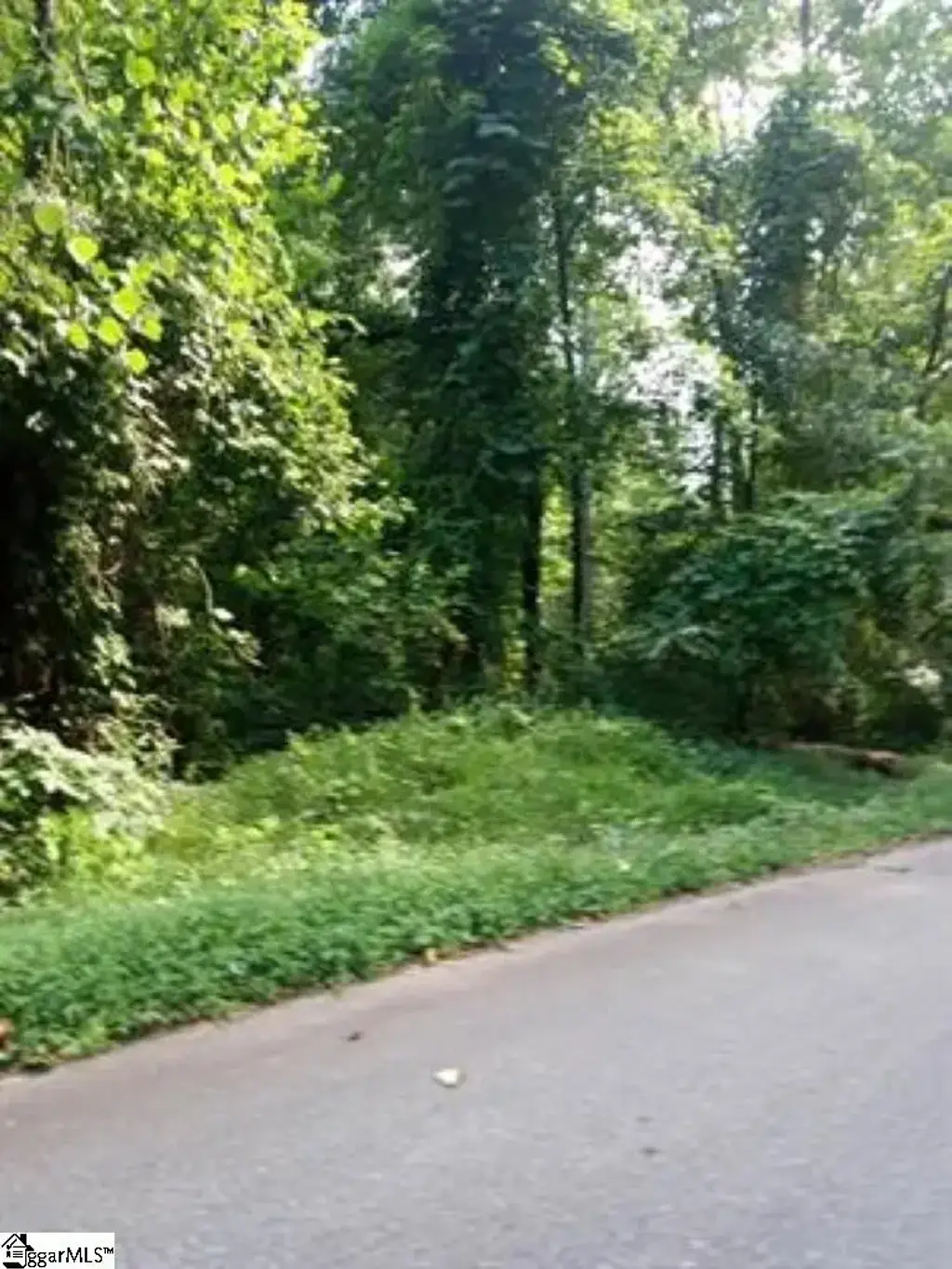 Cole Road, Campobello