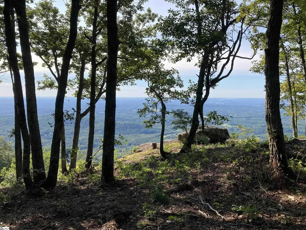 403 Stony Road, Landrum