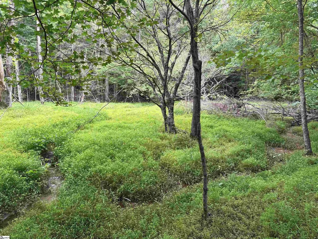 1087 Bobby Faucette Road, Jonesville