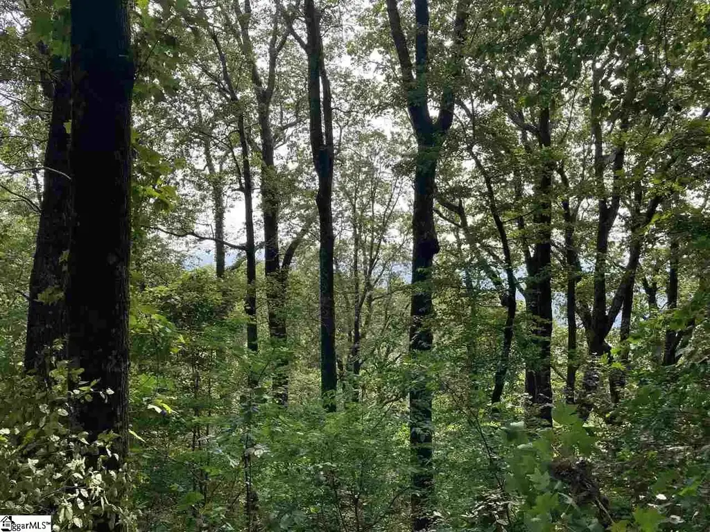 Boulder Lookout Drive Lot 151, Landrum