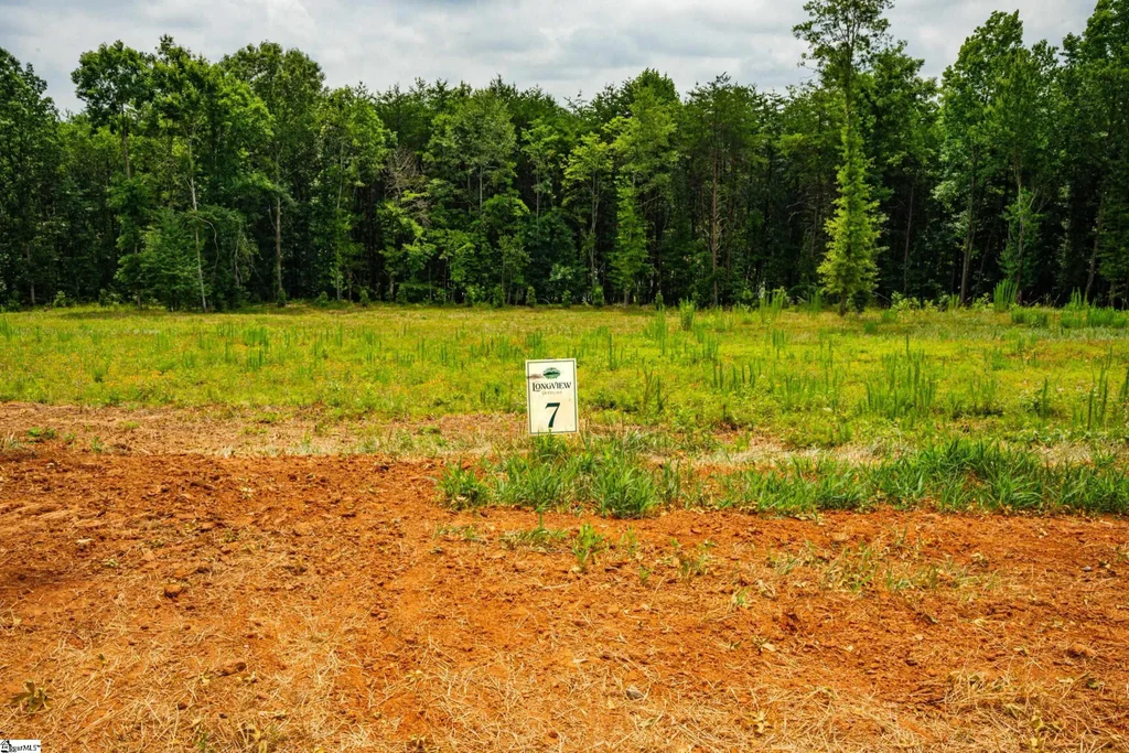 411 Longview Carolina Drive, Easley